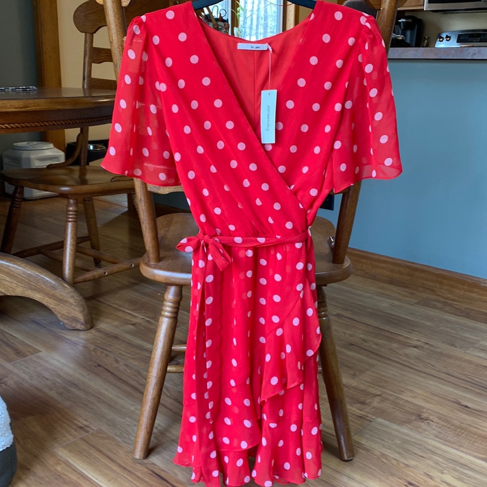New Francesca’s polka dot Dress